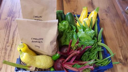 St Mary's Church, Axminster