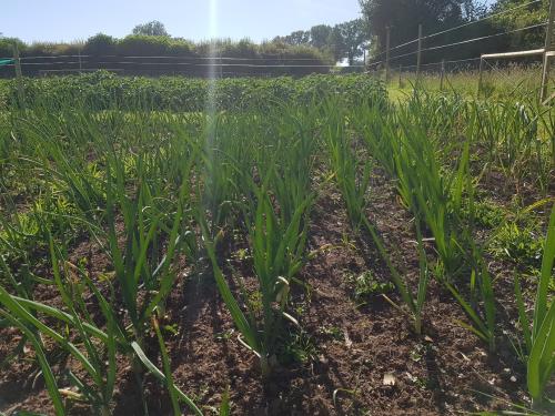 St Mary's Church, Axminster