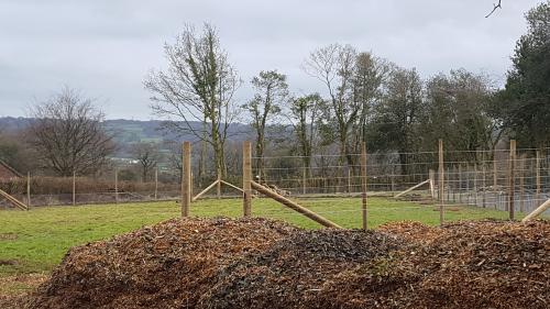 St Mary's Church, Axminster