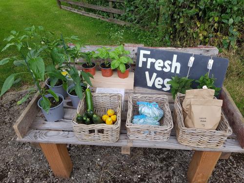 St Mary's Church, Axminster