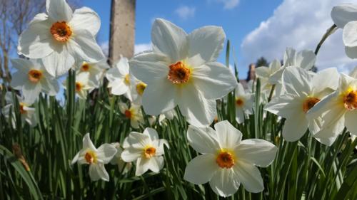 St Mary's Church, Axminster