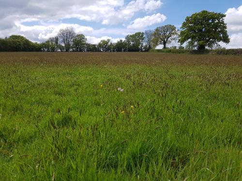 St Mary's Church, Axminster