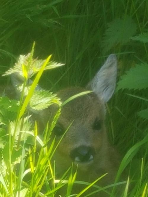 St Mary's Church, Axminster