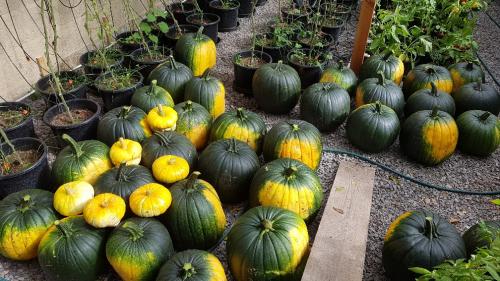 St Mary's Church, Axminster