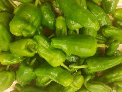 St Mary's Church, Axminster