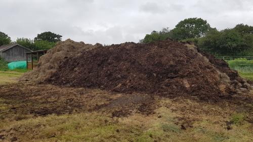 St Mary's Church, Axminster