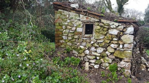 St Mary's Church, Axminster