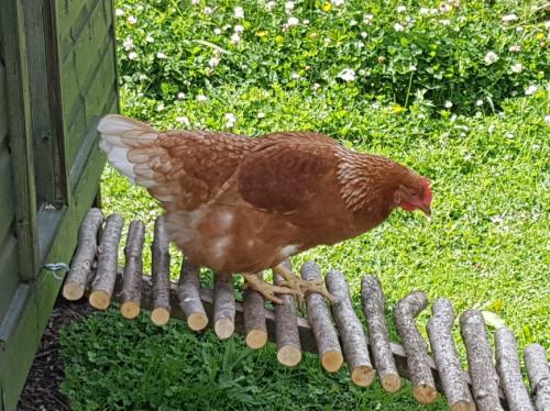 St Mary's Church, Axminster