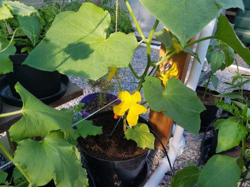 St Mary's Church, Axminster