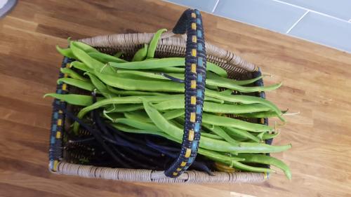 St Mary's Church, Axminster