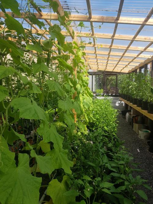 St Mary's Church, Axminster