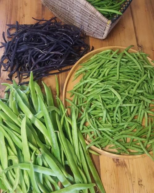 St Mary's Church, Axminster