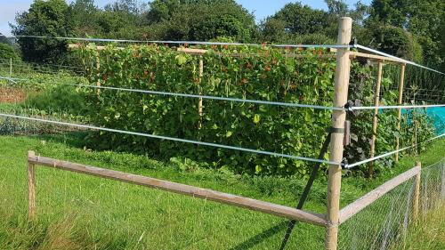 St Mary's Church, Axminster