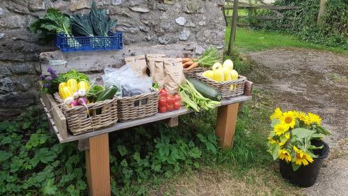 St Mary's Church, Axminster