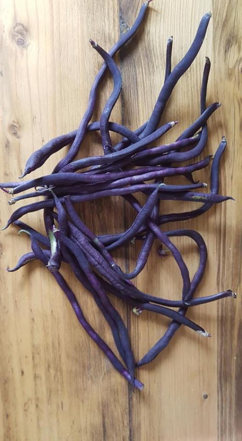 St Mary's Church, Axminster