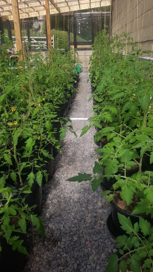 St Mary's Church, Axminster