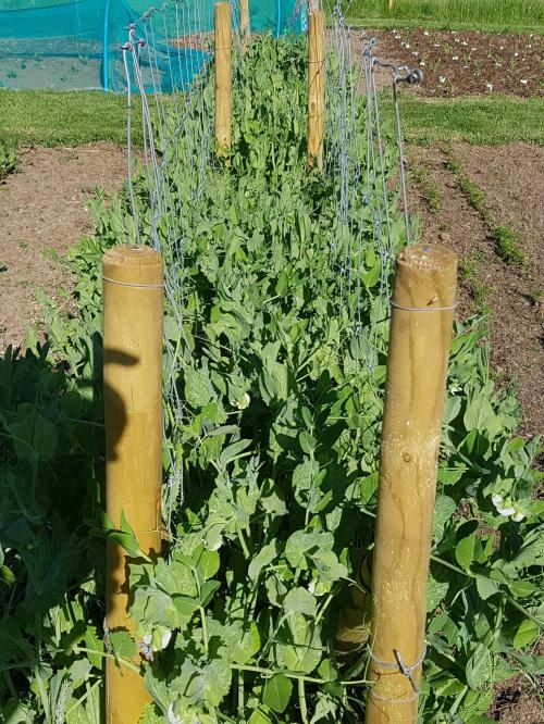 St Mary's Church, Axminster