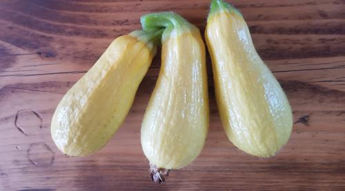 St Mary's Church, Axminster