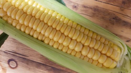 St Mary's Church, Axminster