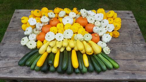 St Mary's Church, Axminster