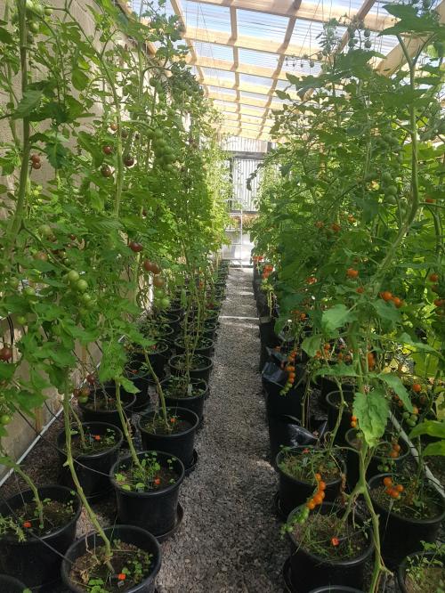 St Mary's Church, Axminster