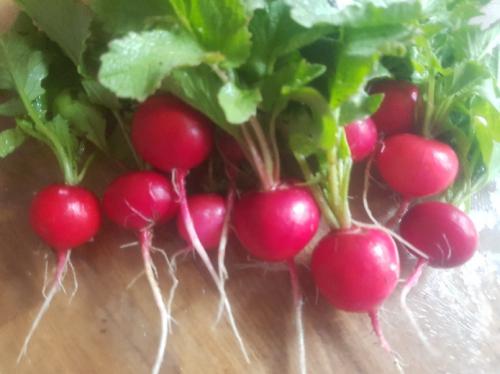 St Mary's Church, Axminster
