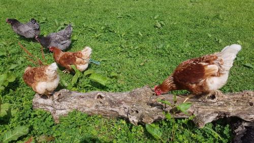 St Mary's Church, Axminster