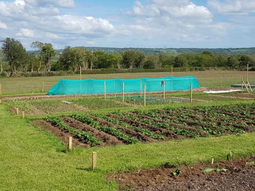 St Mary's Church, Axminster