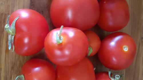 St Mary's Church, Axminster