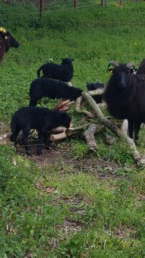 St Mary's Church, Axminster