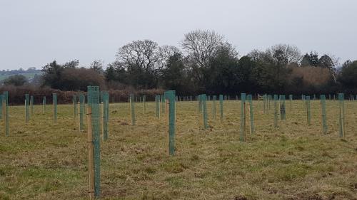 St Mary's Church, Axminster