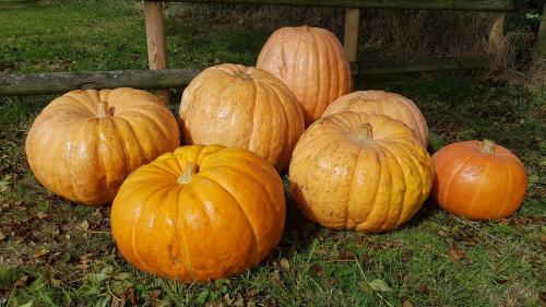 St Mary's Church, Axminster