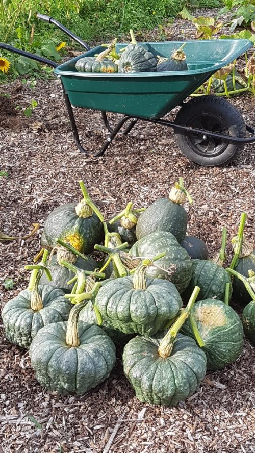 St Mary's Church, Axminster
