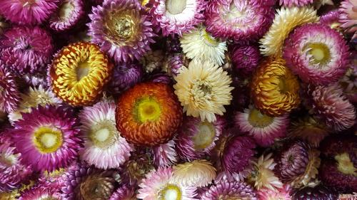 St Mary's Church, Axminster