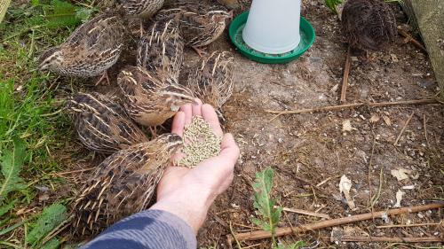 St Mary's Church, Axminster