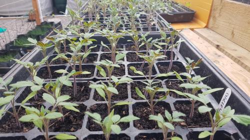 St Mary's Church, Axminster