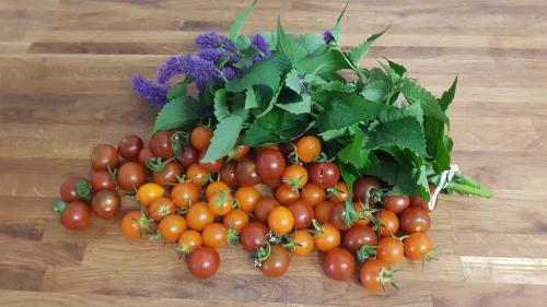 St Mary's Church, Axminster