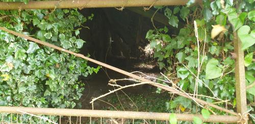 St Mary's Church, Axminster