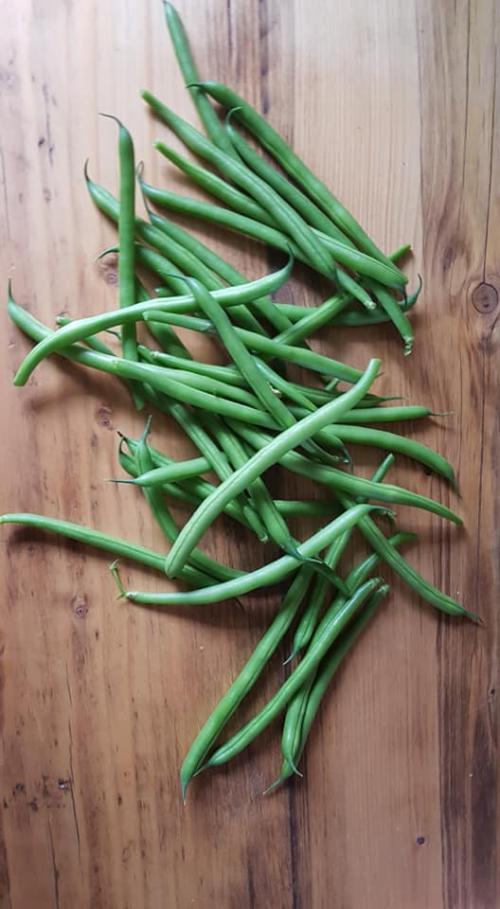 St Mary's Church, Axminster