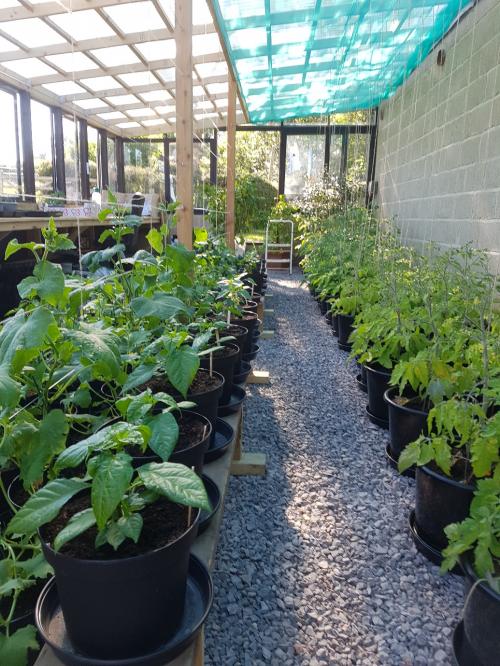 St Mary's Church, Axminster