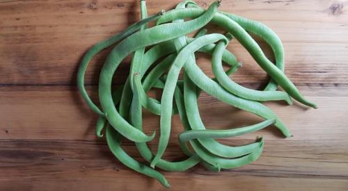 St Mary's Church, Axminster