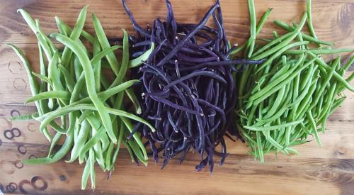 St Mary's Church, Axminster