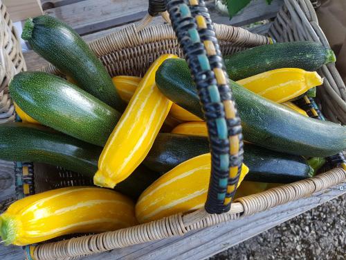 St Mary's Church, Axminster