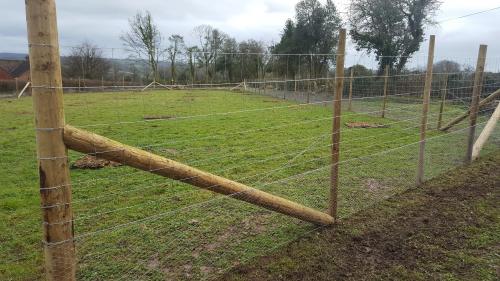 St Mary's Church, Axminster