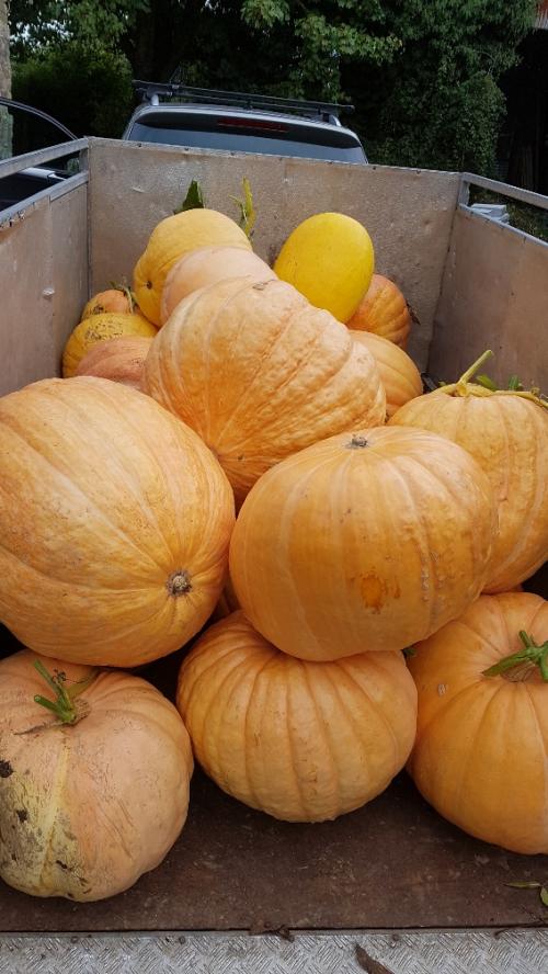 St Mary's Church, Axminster