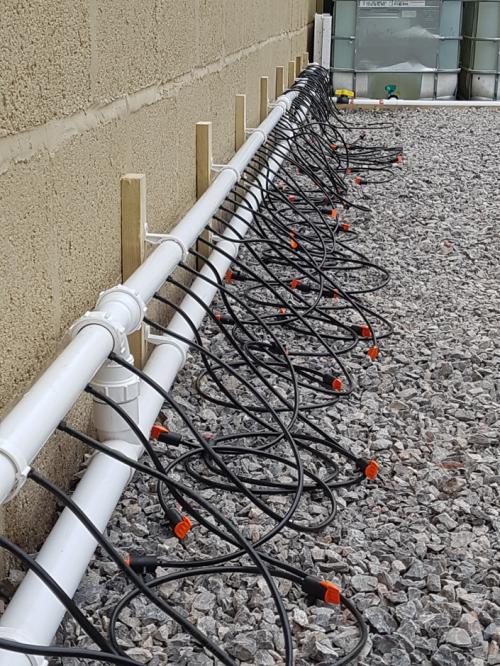 St Mary's Church, Axminster