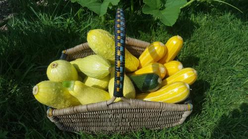 St Mary's Church, Axminster