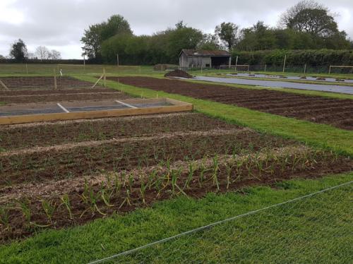 St Mary's Church, Axminster