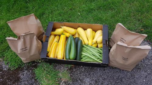 St Mary's Church, Axminster