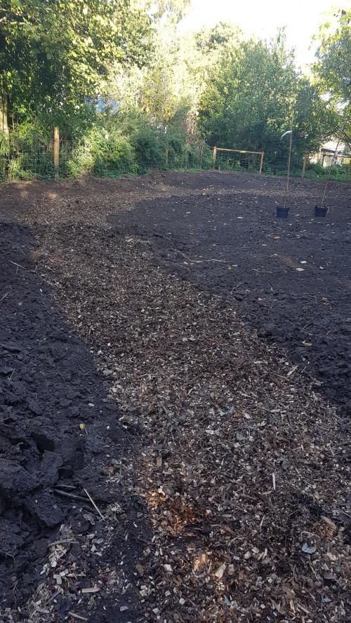 St Mary's Church, Axminster